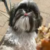 Stephanie Weisiger - @steph9201970 - TikTok