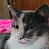 Stephanie Wentzel - @stephanie.wentzel6 - TikTok