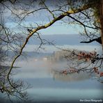 Stephanie Widener - Facebook