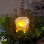 Stephanie Widener - Facebook