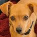 Stefanie Widmann - Facebook