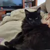 Stephanie Windon - @stephanie.windon - TikTok