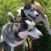 Stephanie Wireman - Facebook