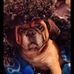 Stephanie Wirth - Facebook