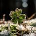Stephanie Wirth - Facebook