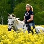 Stephanie Witte - @celtic.mystery - Instagram