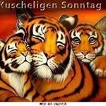 Witte Stephanie - @stephanie.witte77 - Instagram