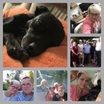 Stephanie Wittig - @sunshinelivewittig01 - Instagram
