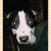 Stephanie Wohlgemuth - Facebook