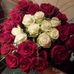 Stephanie Wolfram - Facebook