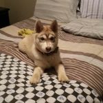 Stephanie Workman - @stephanie.workman.735 - Instagram