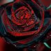 Stephanie Wyble - Facebook
