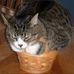 Stephanie Yanish - Facebook
