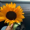 _.stephanyramirez - @_.stephanyramirez - TikTok