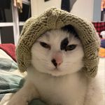 Stephanie Roach - @just_call_me_wimpole - Instagram