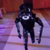 stephanyroach - @seek12098 - TikTok