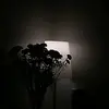 Stephany Vargas - @stephany__vargas - TikTok
