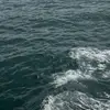 Stephany Vargas - @stephany.vargas89 - TikTok