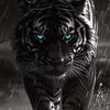 stephenabad229 - @stephenabad0 - TikTok