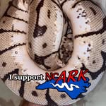 Stephen Abrams - @steve_and_mike - Instagram