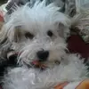 Stephen Abrams - @stephenabrams80 - TikTok