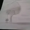 Stephen Acevedo - @un_intento_de_poeta - TikTok