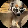 stephenacevedo78 - @xxxvhs636 - TikTok