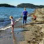 Stephen Addison - @addisonstephen - Instagram