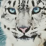 Stephen Albright - @stephen.albright - Instagram