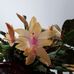 Stephen Albright - Facebook