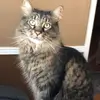 Stephen Albright  Allnite - @stephen.albright0 - TikTok