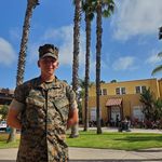 Stephen Alcorn - @alcornstephen - Instagram