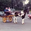Stephen Alfred Ma472 - @stephenalfred01 - TikTok