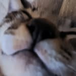 Steven Andreas - @steven.andreas.336 - Instagram