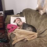 Lynne Peck - @stephen.angell.334 - Instagram