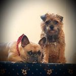 @stephen_arbuckle - Instagram