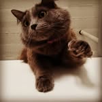 Stephen Archie - @starchy64 - Instagram