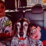 doglover2’000 - @stephenarnone11 - Instagram