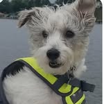 Stephen Arnone - @stephen.arnone0415 - Instagram