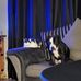 Stephen Ashe - Facebook