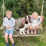 Stephen Ashe Gearey - @sashegearey - Instagram