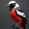 Stephane Ashmed - @stephane.ashmed - TikTok