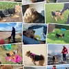 Stephen Askew - @stephen.askew4 - TikTok