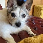 Stephen 'Jack' Askew - @jaskew3258 - Instagram