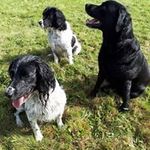 Stephen atkin - @stephen_atkin - Instagram
