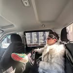 Stephen Bacala - @stephen_bacala - Instagram