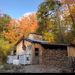 Steven Bachand - @stevenbachand - Instagram