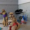Stephen Bache - @stephen.bache - TikTok