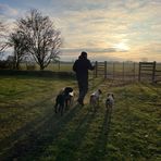 Stephen Baggaley - Facebook