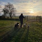 Stephen Baggaley - @baggers18b - Instagram